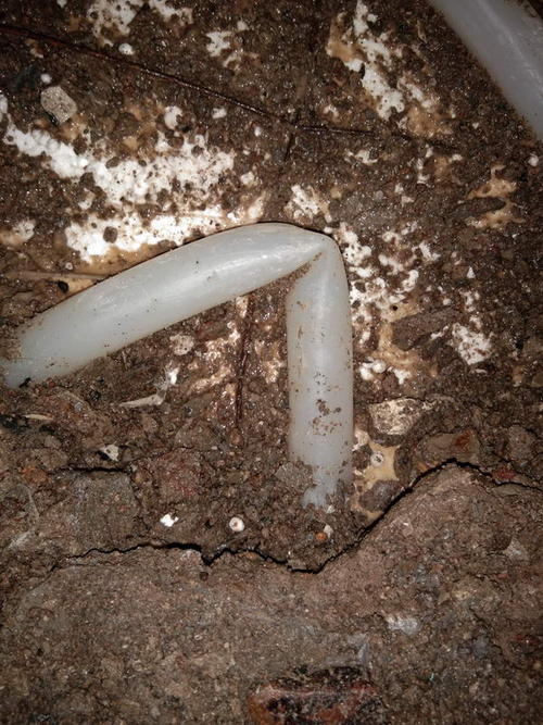 成县堵点精准查找